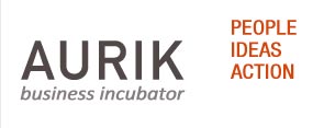 Aurik Business Incubator - Diagnostic Tool